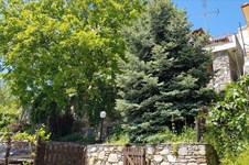 Property 37910 photo 34