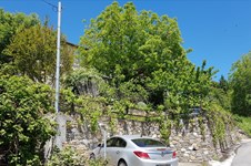 Property 37910 photo 37