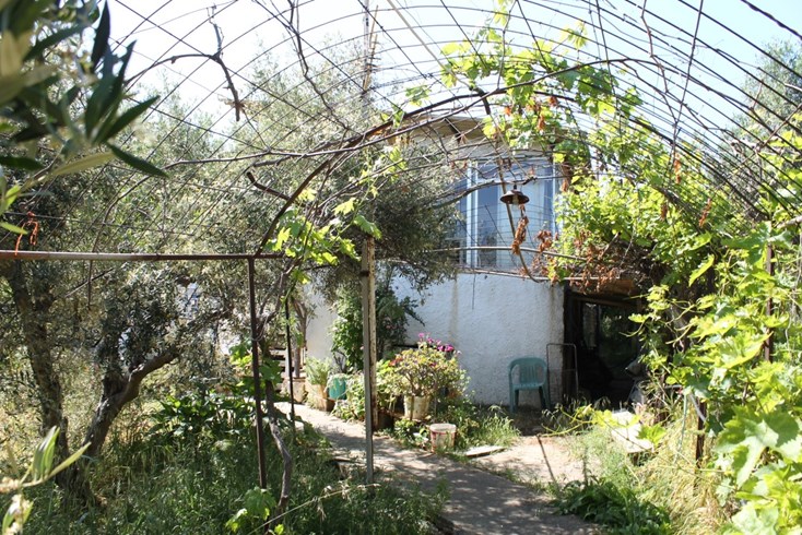 Realty photo 3