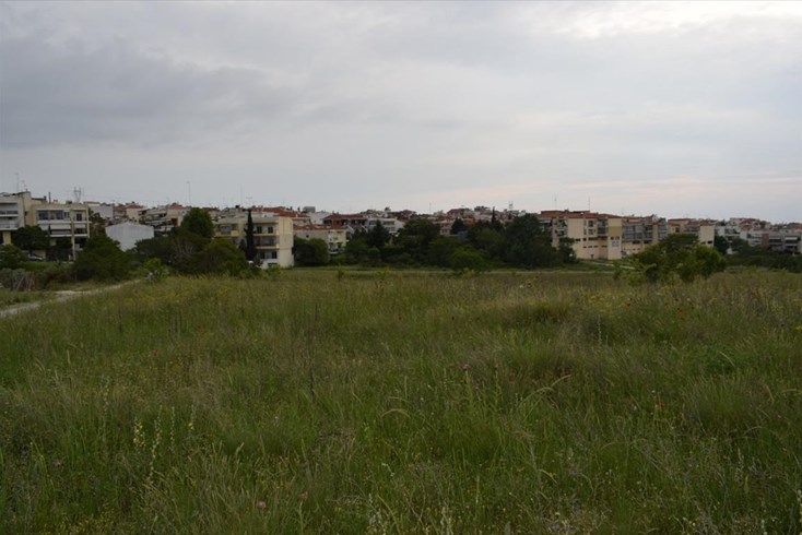 Realty photo 3