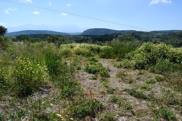 Realty photo 3