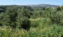 Land 350 m² auf Kreta