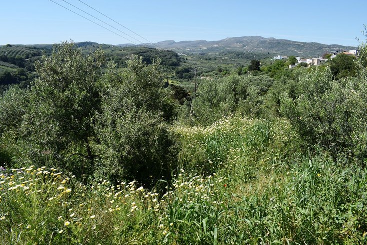 Realty photo 1