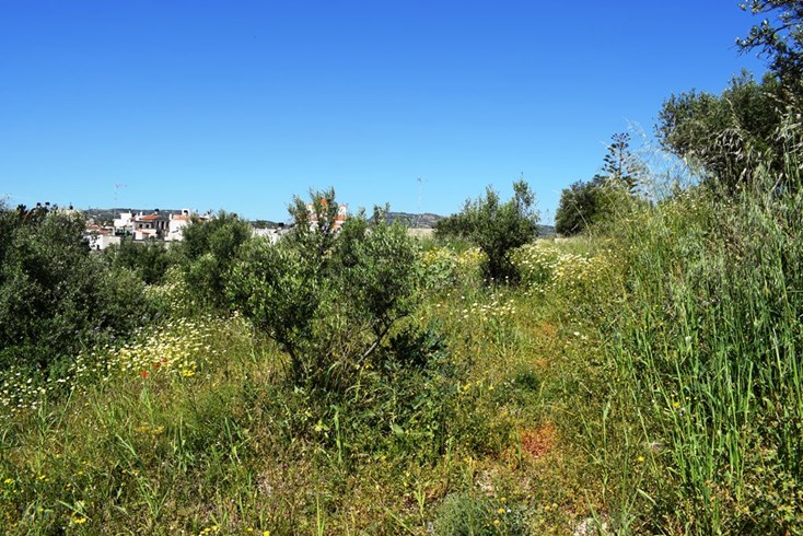 Realty photo 2