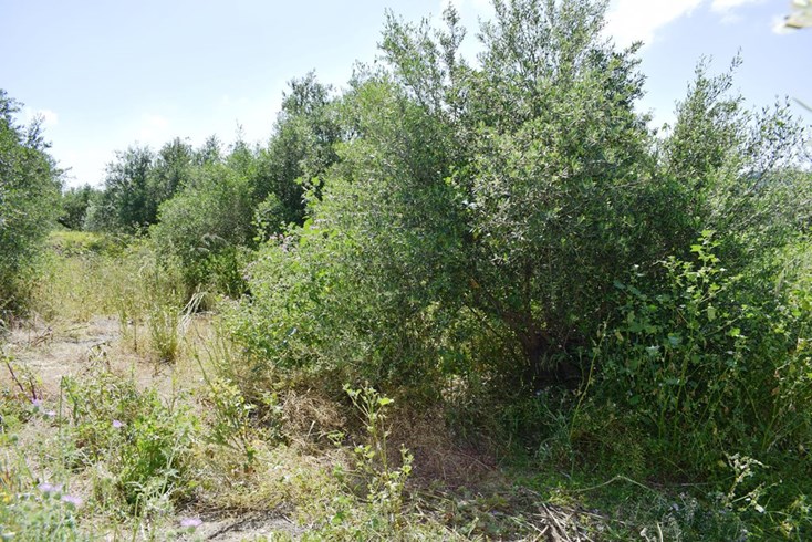 Realty photo 1