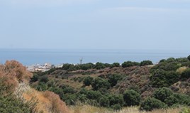Парцел 5000 m² на Крит