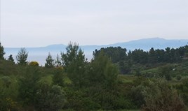 Land 6200 m² in Kassandra, Chalkidiki