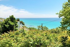 Property 37993 photo 29