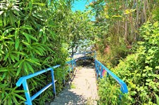 Property 37993 photo 23