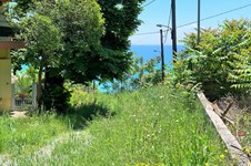 Property 37993 photo 21