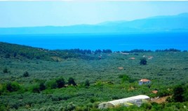 Land 25000 m² on the island of Thassos