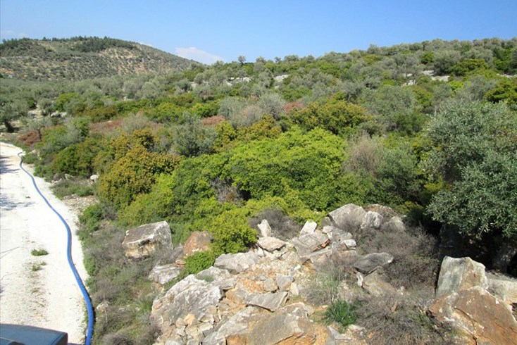 Realty photo 2