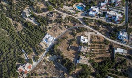 Land 6600 m² in Crete