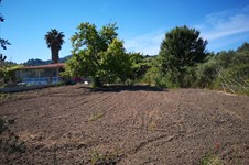 Property 38067 photo 1
