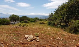 Land 4542 m² in Crete