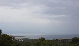 Парцел 5900 m² на Крит