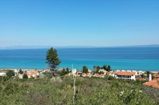 Property 3813 photo 5