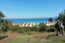 Property 3813 photo 6