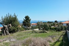 Property 3813 photo 7