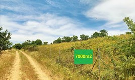 Парцел 7000 m² в област Солун