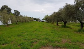 Land 1350 m² in Athos, Chalkidiki