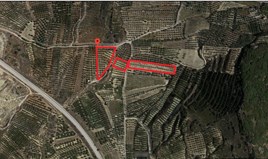 Парцел 13000 m² на Крит