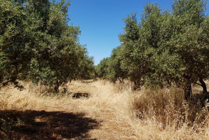 Realty photo 2