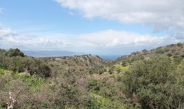 Land 10800 m² auf Kreta