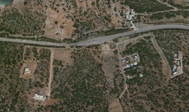 Terrain 50000 m² en Crète