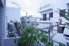 Property 38278 photo 7