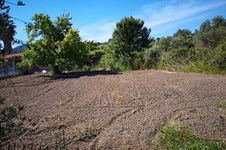 Property 38302 photo 1