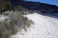 Property 3833 photo 1