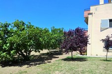 Property 38336 photo 26