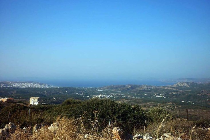 Realty photo 1