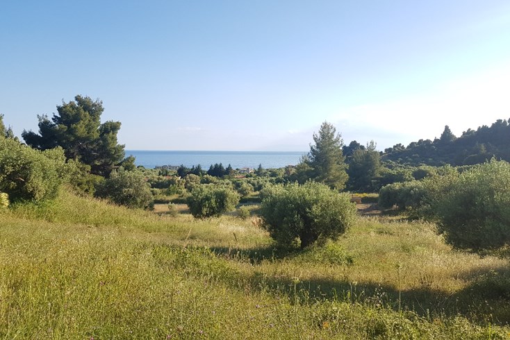 Realty photo 1