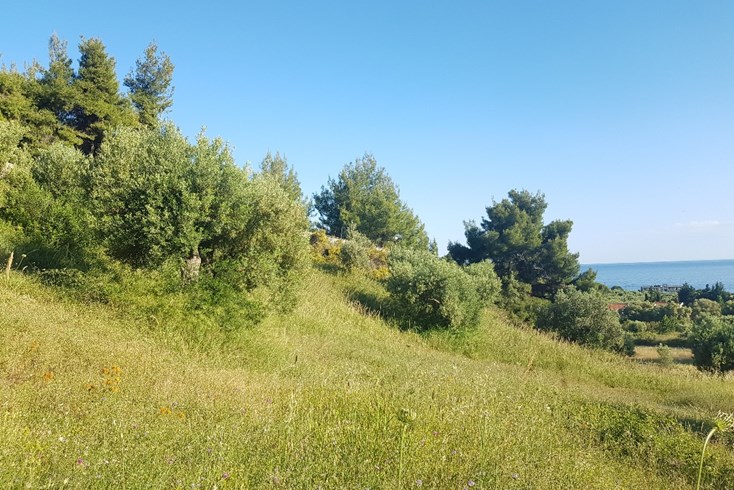 Realty photo 2