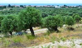 Land 5175 m² in Kassandra, Chalkidiki