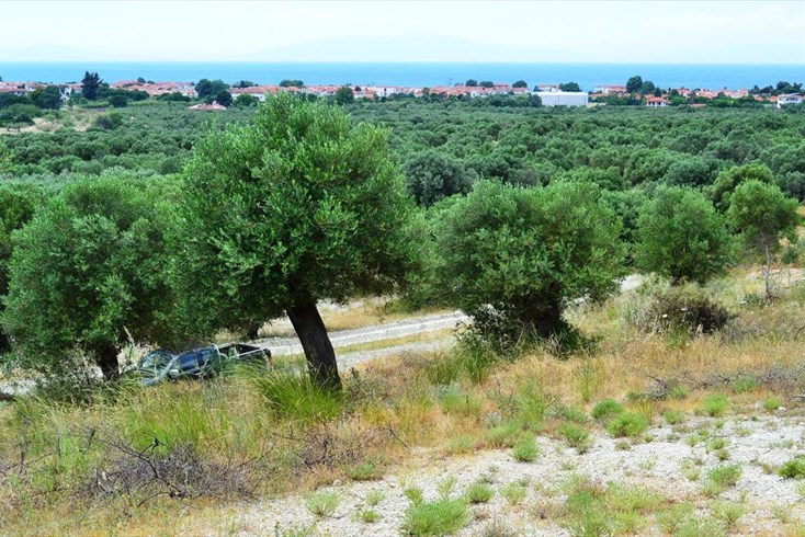 Realty photo 1