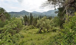 Land 9000 m² auf Korfu