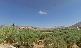 Land 37000 m² in Crete