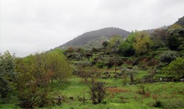 Land 3763 m² auf Thassos