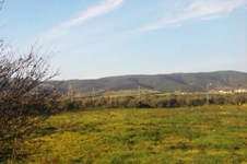 Property 385 photo 1