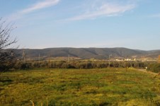 Property 385 photo 2