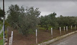 Land 21350 m² in Chalkidiki