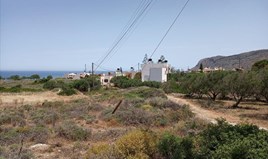 Land 2700 m² auf Kreta