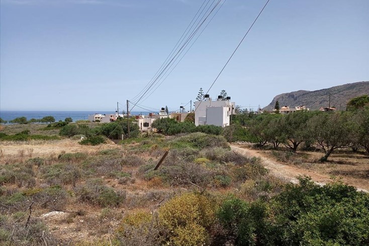 Realty photo 1