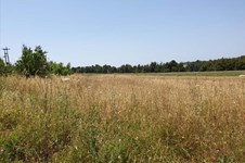 Property 38553 photo 2