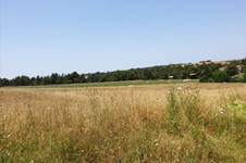Property 38553 photo 1