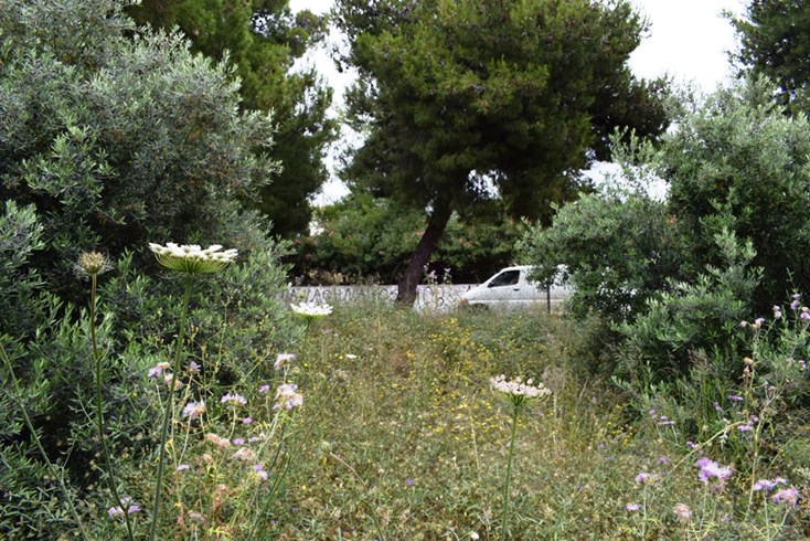 Realty photo 2