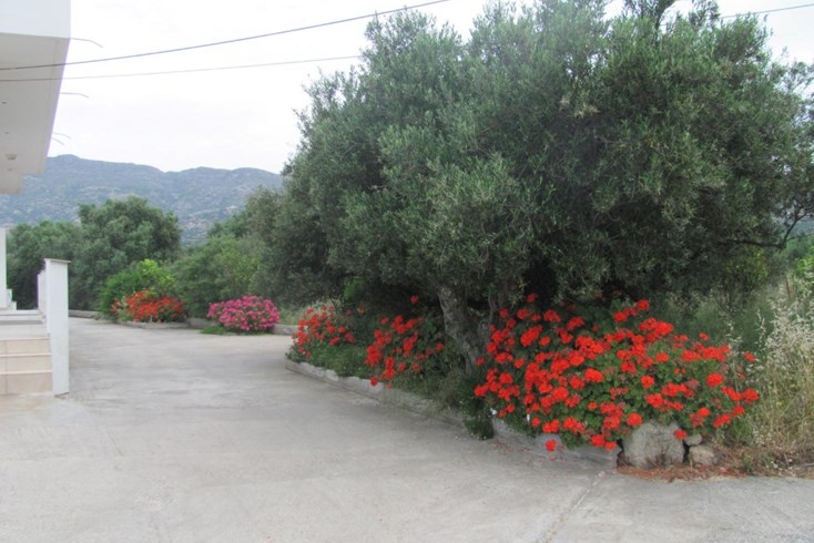 Realty photo 2